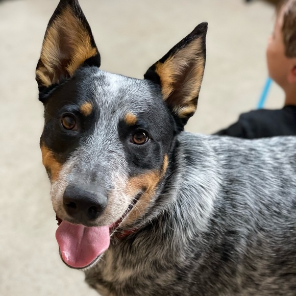 Meet your Posher, Michelle - Picture 3 of 5